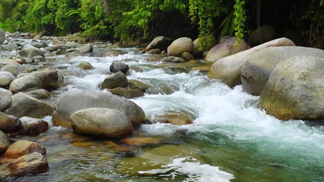 Crystal Clear River Flowing Around Tropical Rocks 4K