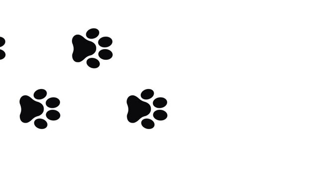 Animal paw prints walking animation with tracked footprints sequence across varying terrain