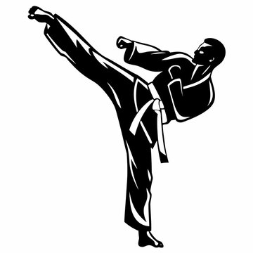 Karate athlete performing high kick