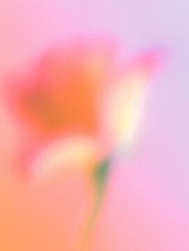 抽象的, ぼかし, フラワーアート, 花, 柔らかい色, パステルカラー, アート写真, 背景用, 穏やか, やさしい雰囲気, ドリーミー, ピンク, オレンジ, ライトブルー, 霞んだ, 美しい背景, ふんわり, 柔らかい, 植物, 自然, 風景, 静けさ, 癒し, ソフトフォーカス, スローフォト, 花びら, 春, 芸術的, エレガント, グラデーション, ロマンチック, クリーン, ミニマル