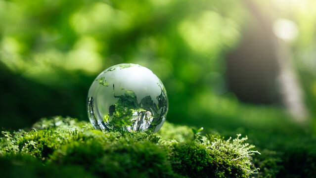 Earth Day sustainability concept. Sustainable green globe on moss in forest for environmental responsibility, conservation, net zero, climate action, renewable energy, and ESG.