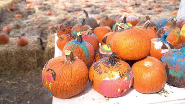 Painted pumpkins on a table at a pumpkin patch