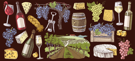 Fototapeta premium Wine, cheese and vineyard illustrations set