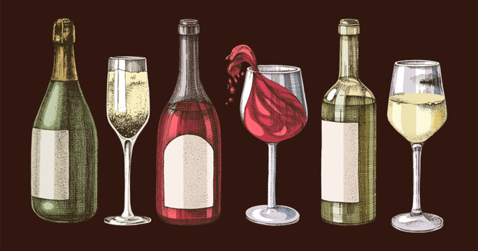 Wine bottles and glasses vector sketch