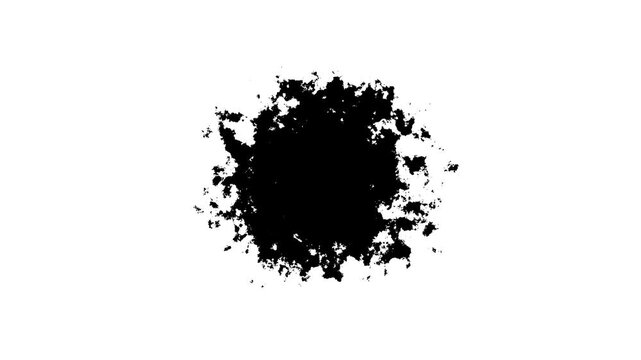 Transitions of black expanding paint stains on white backdrop Grunge Ink spreads and fills the screen. animation on the white background.