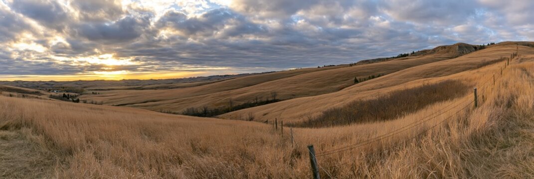 Panoramic view of rolling hills with dry grass at sunset