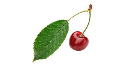 Single fresh ripe red cherry berry fruit with green leaf isolated on transparent background © Rosie Rogers