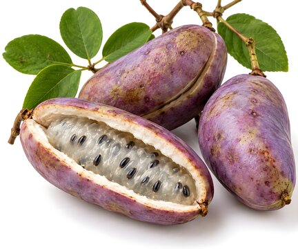 Akebia fruit