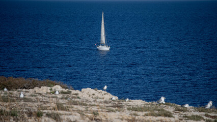 Voiliers naviguant au large des iles du Frioul © PPJ