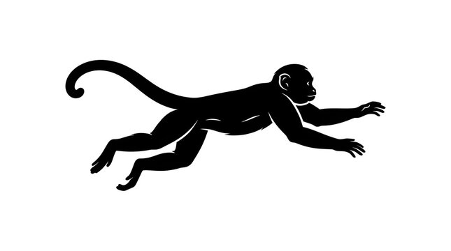 black silhouette of a monkey