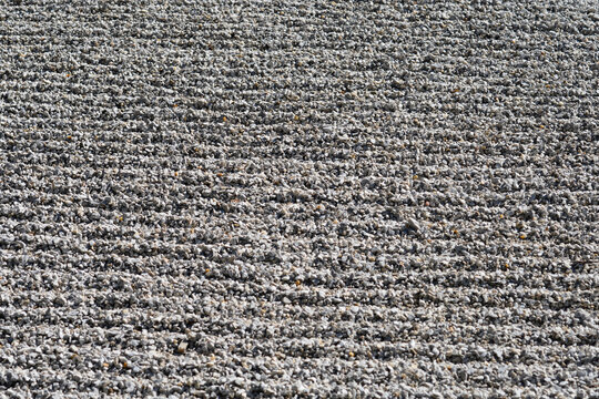 Full frame background texture of grey gravel meticulously raked into linear parallel waves creating a calming pattern in a traditional zen garden.