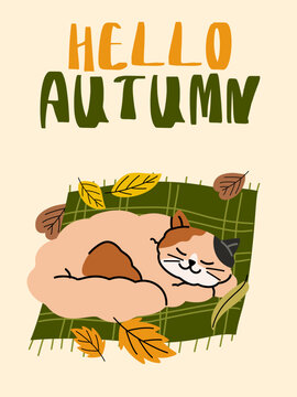 Hello autumn vector poster featuring cute calico cat sleeping peacefully on green plaid blanket surrounded by falling autumn leaves.