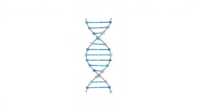 Minimalist DNA double helix animation representing genetics, biotechnology, medical research, molecular biology, genetic science, healthcare innovation, laboratory research, pharmaceutical development