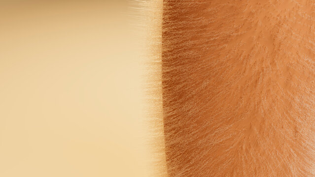 Macro close-up of human skin texture with fine hair and pores