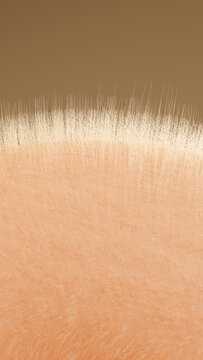 Close-up illustration of human skin texture with fine body hair