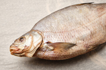 Fresh whole fish on neutral background © Vitaliy