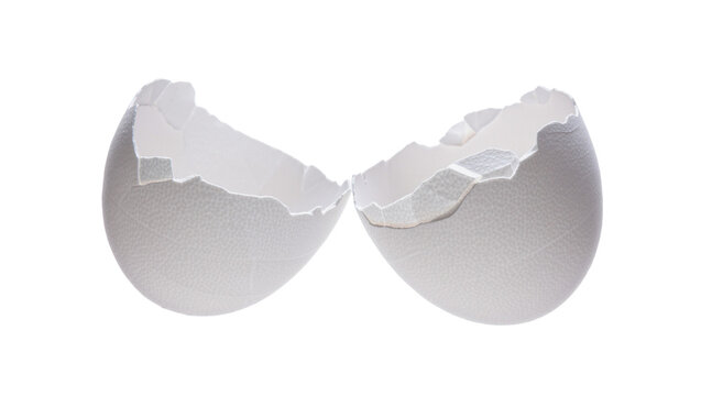 Two halves of a cracked white eggshell, isolated on transparent background