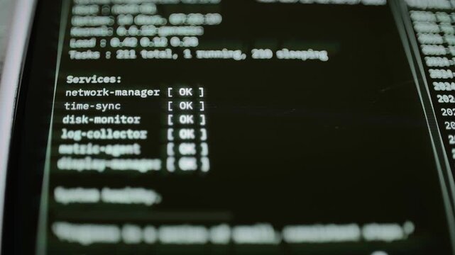 Linux status shows 211 tasks and healthy services
