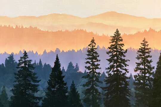 Pine forest landscape at sunset