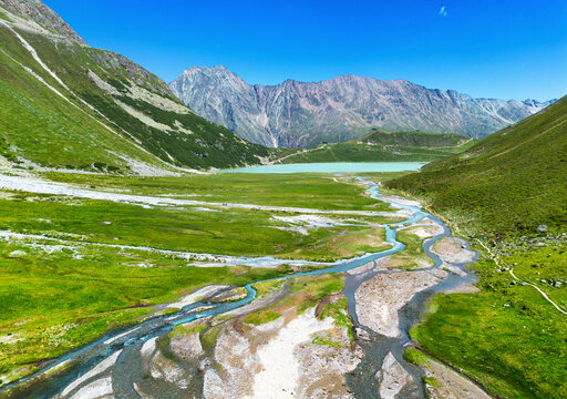 Landscape with white flowers and lake in Austrian Pitztal Glacier and Lake Riff - Rifflsee