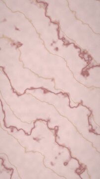 Marmortextur in Rosa marmor nahtlose Schleife