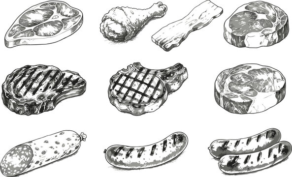 Assorted grilled and raw meats set featuring steaks chicken drumstick bacon and sausages vintage sketch vector illustration