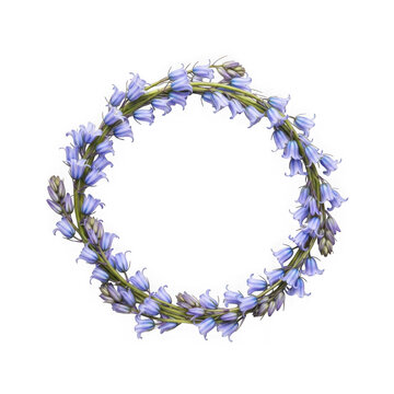 Delicate blue bellflower floral wreath circle frame transparent background