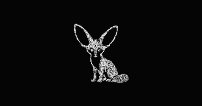 Sketch fennec fox icon animation - smooth progressive reveal