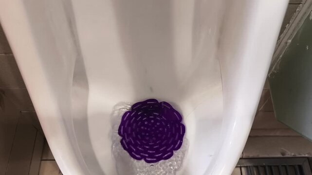 Close-up of water rinsing a public restroom urinal equipped with a purple splash screen.
