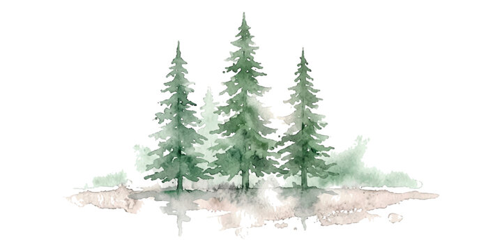 Three green pine trees painted in watercolor style with soft artistic textures