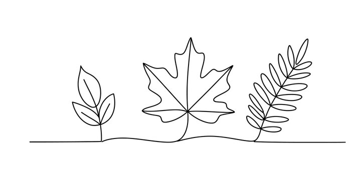 Continuous line drawing of three different autumn leaves