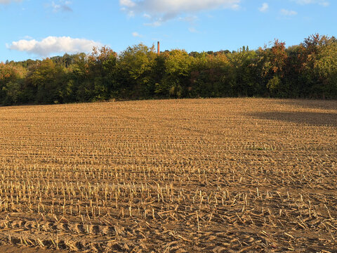 Fall Scenery with harvested cornfield forest and industial chimney