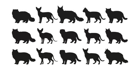 Fototapeta premium Set of black cat silhouettes in various breeds isolated on a white