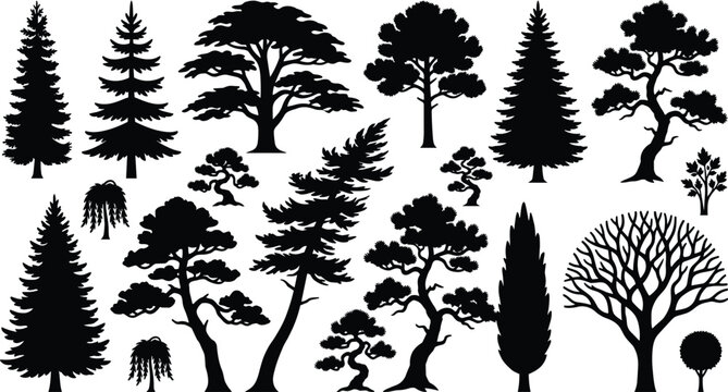 Black Tree Silhouette Collection with Evergreen and Deciduous Trees for Nature and Landscape Designs