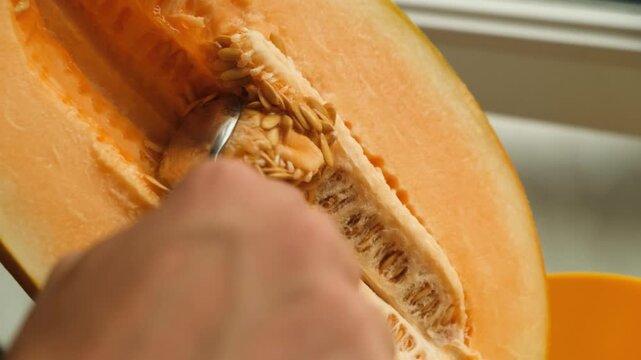 A hand uses a tablespoon to remove seeds from a ripe melon into a bowl, preparing fresh summer fruit from a home garden with homegrown produce, healthy eating, and seasonal food.