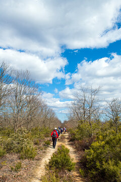 stanbul trekking routes. Hiking in Istanbul's green nature. A group of people is shown trekking. In the foreground Above, there is a clear, deep blue sky dotted with scattered white clouds