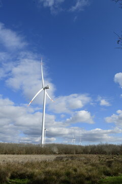 Wind turbines in Istanbul. A wind power plant (wind turbines) situated in a vast rural area is visible. In the foreground, there is a wide expanse of land covered with dry grass, shrubs 