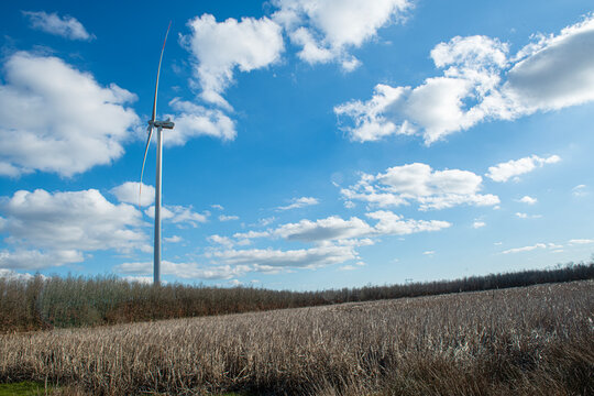 Wind turbines in Istanbul. A wind power plant (wind turbines) situated in a vast rural area is visible. In the foreground, there is a wide expanse of land covered with dry grass, shrubs 