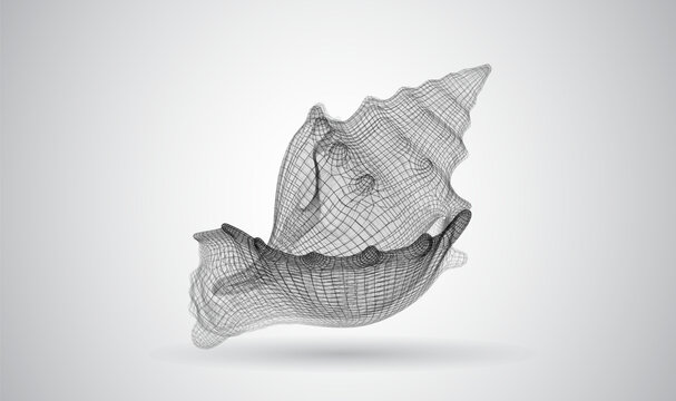 3D mesh object on a white background