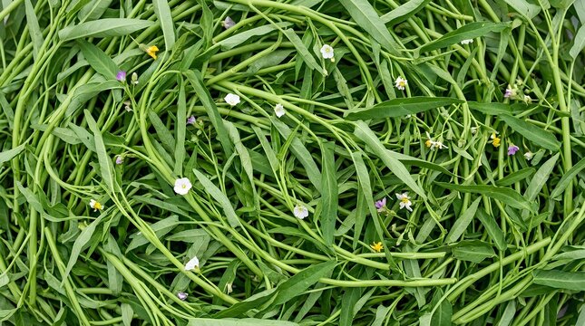 Top view of a dense pile of fresh green water spinach (Ipomoea aquatica) with long leaves, hollow stems, and small white, purple, and yellow wildflowers scattered throughout.