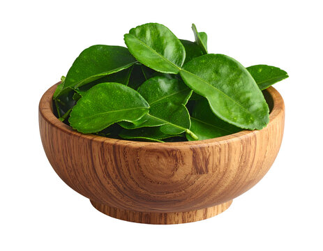 Kaffir lime leaves in bowl isolated on transparent png
