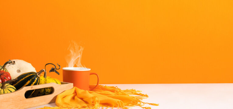 Autumn Thanksgiving panoramic background with hot steaming mug, cozy scarf and pumpkins in wooden tray. Creative fall season harvest banner composition with copy space on orange backdrop.