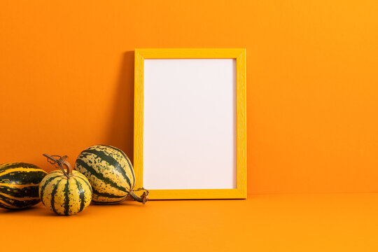 Autumn Thanksgiving mock up frame with decorative small striped gourds on bright orange background. Empty white picture border template for fall season harvest holiday greeting card and banner.
