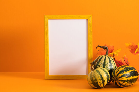Autumn Thanksgiving mock up frame with striped gourds and colorful fall leaves on bright orange background. Empty white picture border template for seasonal holiday greeting card and promotion.