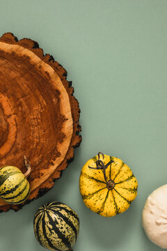 Vertical fall layout with striped pumpkins and empty wood slice for Thanksgiving design template. Minimalist autumn harvest frame composition with text copy space on sage green background.