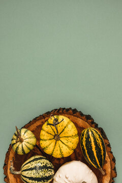 Vertical rustic autumn template with diverse striped pumpkins on wooden tray for design projects. Flat lay fall harvest seasonal vertical layout composition with copy space on sage green background.