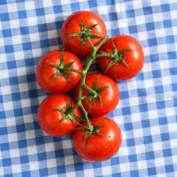 Fresh Vine Tomatoes on Checked Cloth