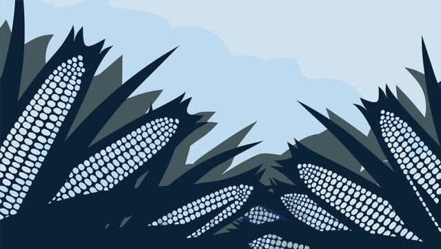 Blue cornfield agriculture harvest crop farming vector background with agriculture sweetcorn nutrition vegetable countryside landscape seasonal cultivation production industry environment