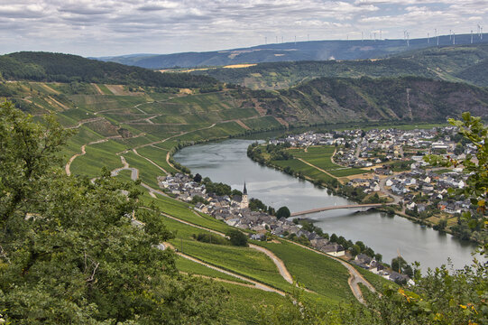 Panoramablick auf die Moselschleife und das Weindorf Trittenheim