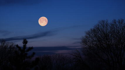 Full Moon, stars and planets above landscape silhouettes. © astrosystem